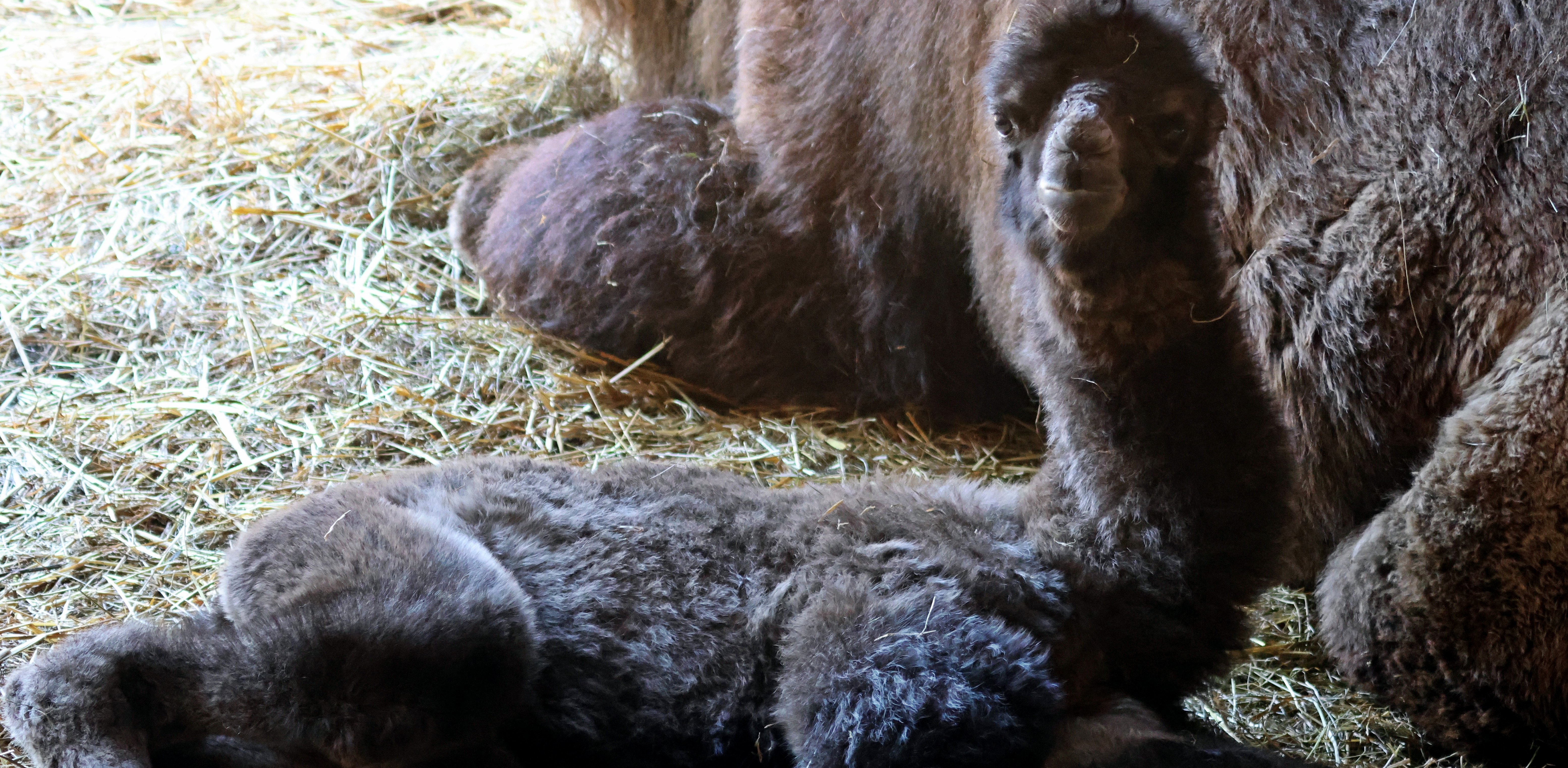 (fot. Paweł Ciesielski)