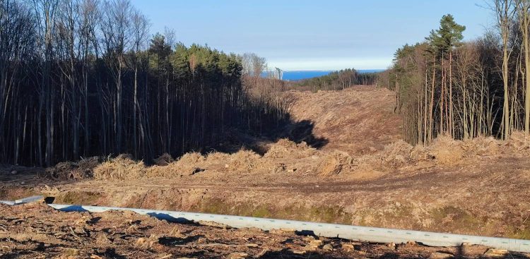 Budowa obwodnicy Witomina w Gdyni (fot. Radio Gdańsk)