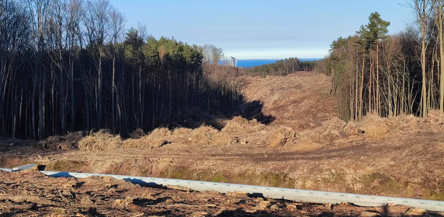 Budowa obwodnicy Witomina w Gdyni (fot. Radio Gdańsk)