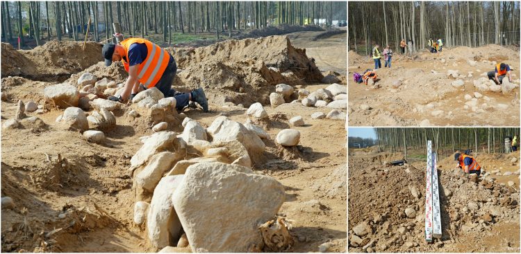 (fot. UM Gdynia/Magdalena Czernek)