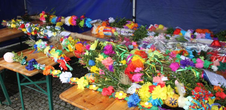 Zdjęcie archiwalne, palmy biorące udział w zeszłorocznym konkursie (fot. UM Tczew)