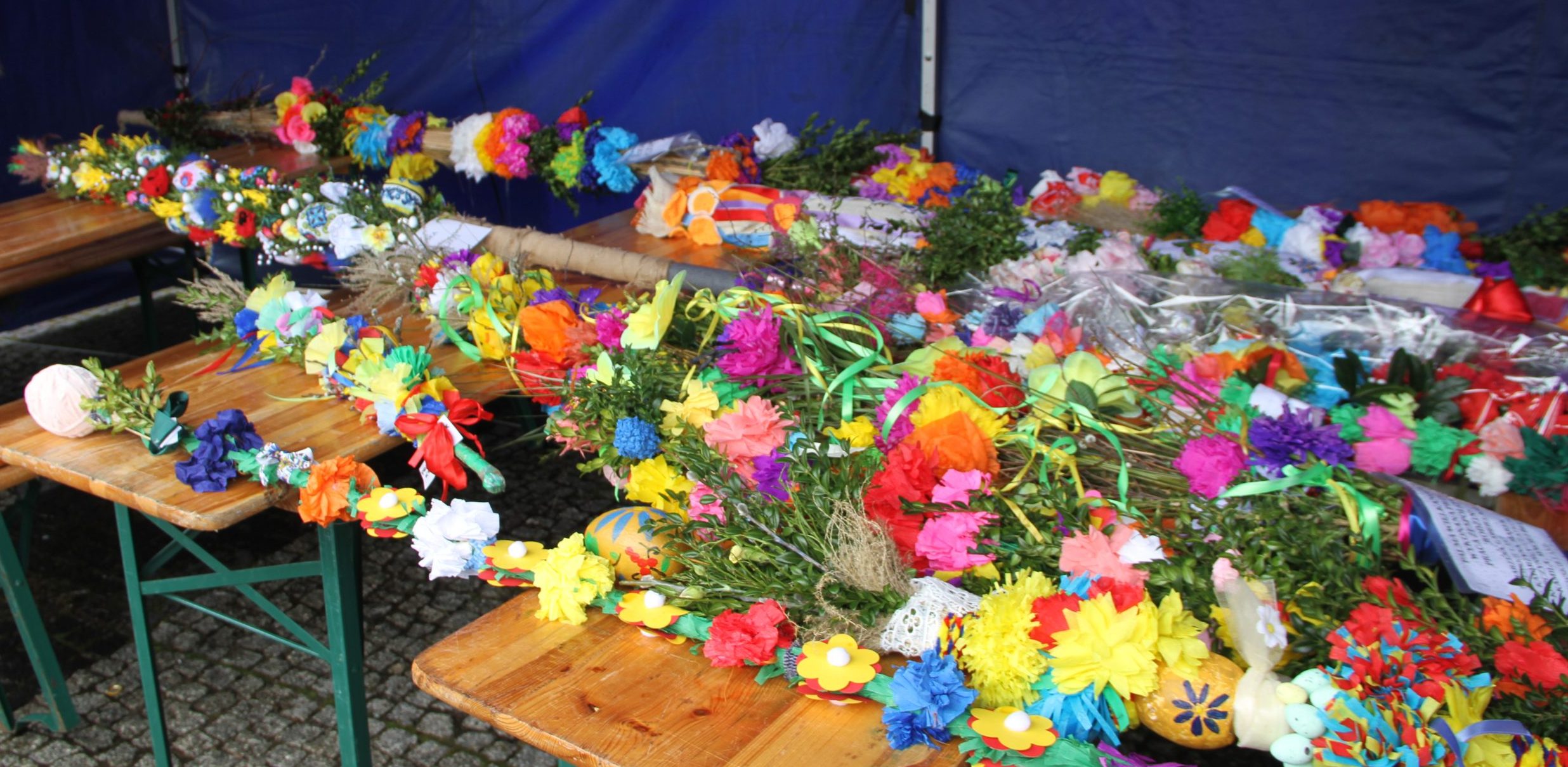Zdjęcie archiwalne, palmy biorące udział w zeszłorocznym konkursie (fot. UM Tczew)