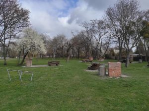 (fot. M.Czerwiński/Radio Gdańsk)