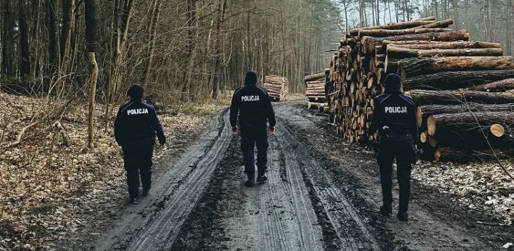 Zdjęcie ilustracyjne. Patrol policji w lesie (fot. KWP w Gdańsku)