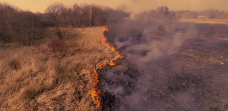 Zdjęcie ilustracyjne (fot. PSP)