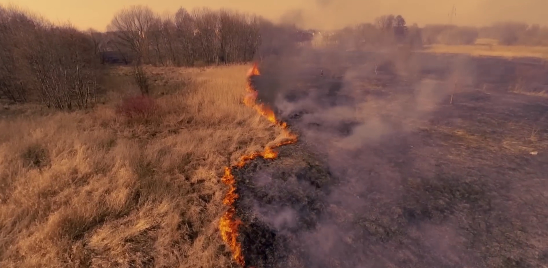 Zdjęcie ilustracyjne (fot. PSP)