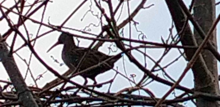 (fot. archiwum prywatne)