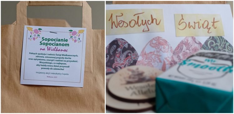 (fot. Sopocki Wolontariat)