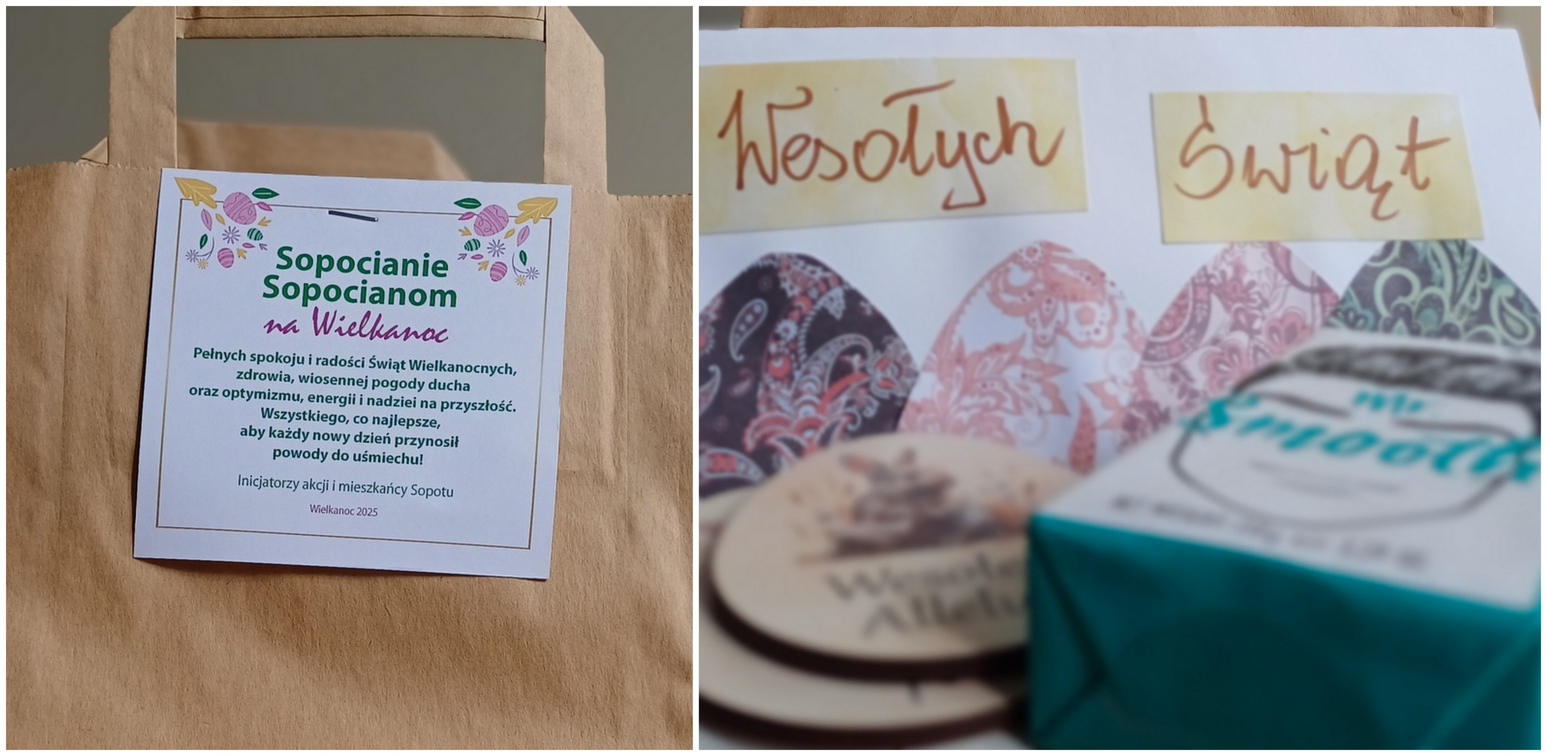 (fot. Sopocki Wolontariat)