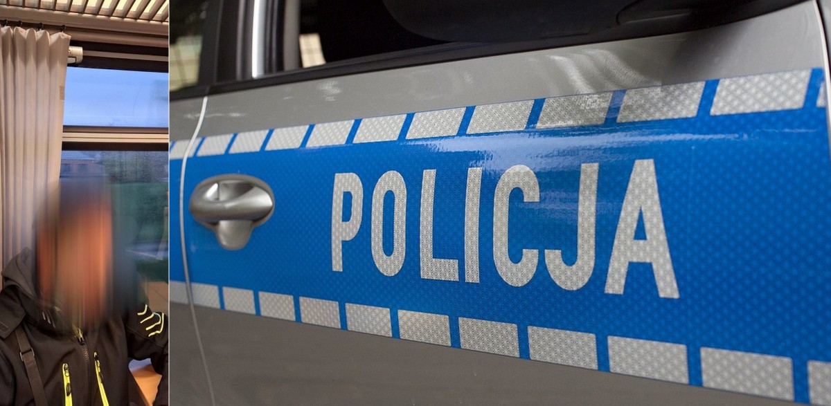 Kryminalni zatrzymali poszukiwanego listem gończym 30-latka w pociągu z Czech (fot. KPP Tczew, Pixabay)