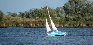 Zdjęcie ilustracyjne (fot. Freepik)