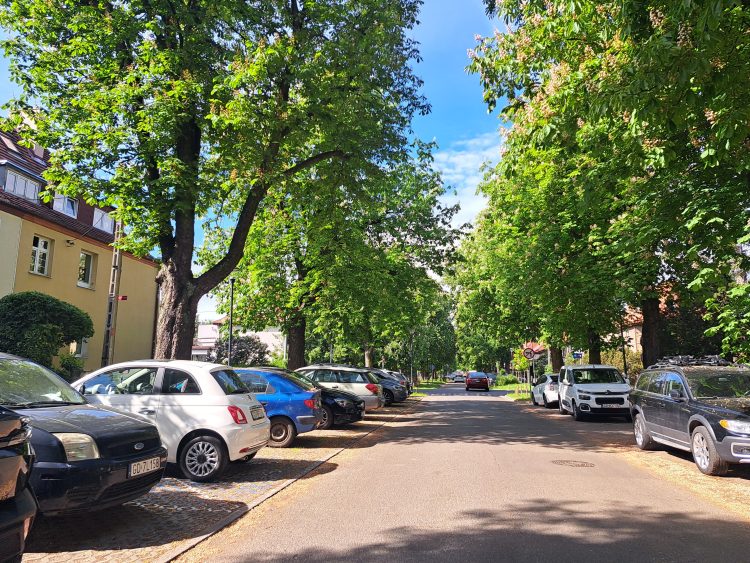 Urzędnicy informują, że to mieszkańcy wskażą, na których ulicach zostanie wprowadzona strefa płatnego parkowania (fot. Radio Gdańsk/Sebastian Kwiatkowski)