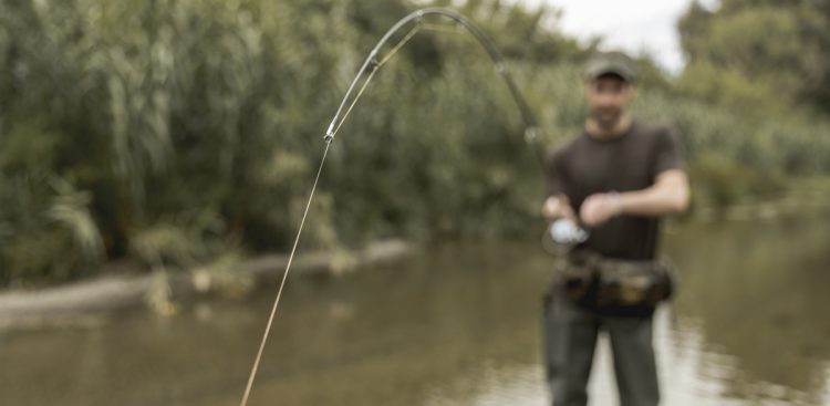 Do końca miesiąca zaleca się ograniczenie spożycia węgorzy i fląder pochodzących z Zalewu Wiślanego (fot. Freepik)