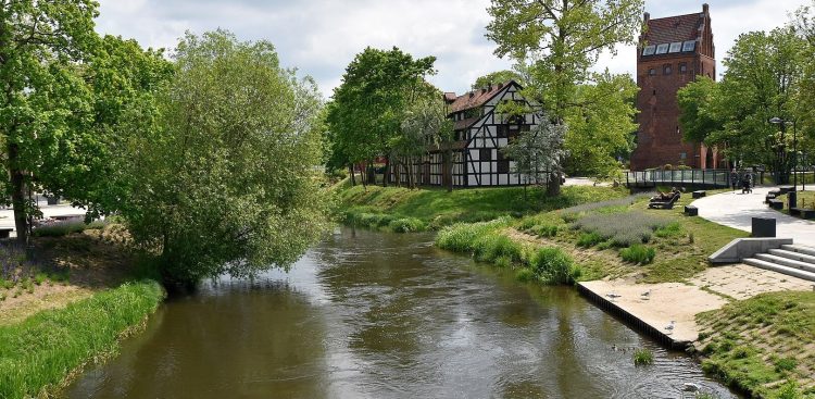 Rzeka Słupia (fot. Wikimedia Commons)