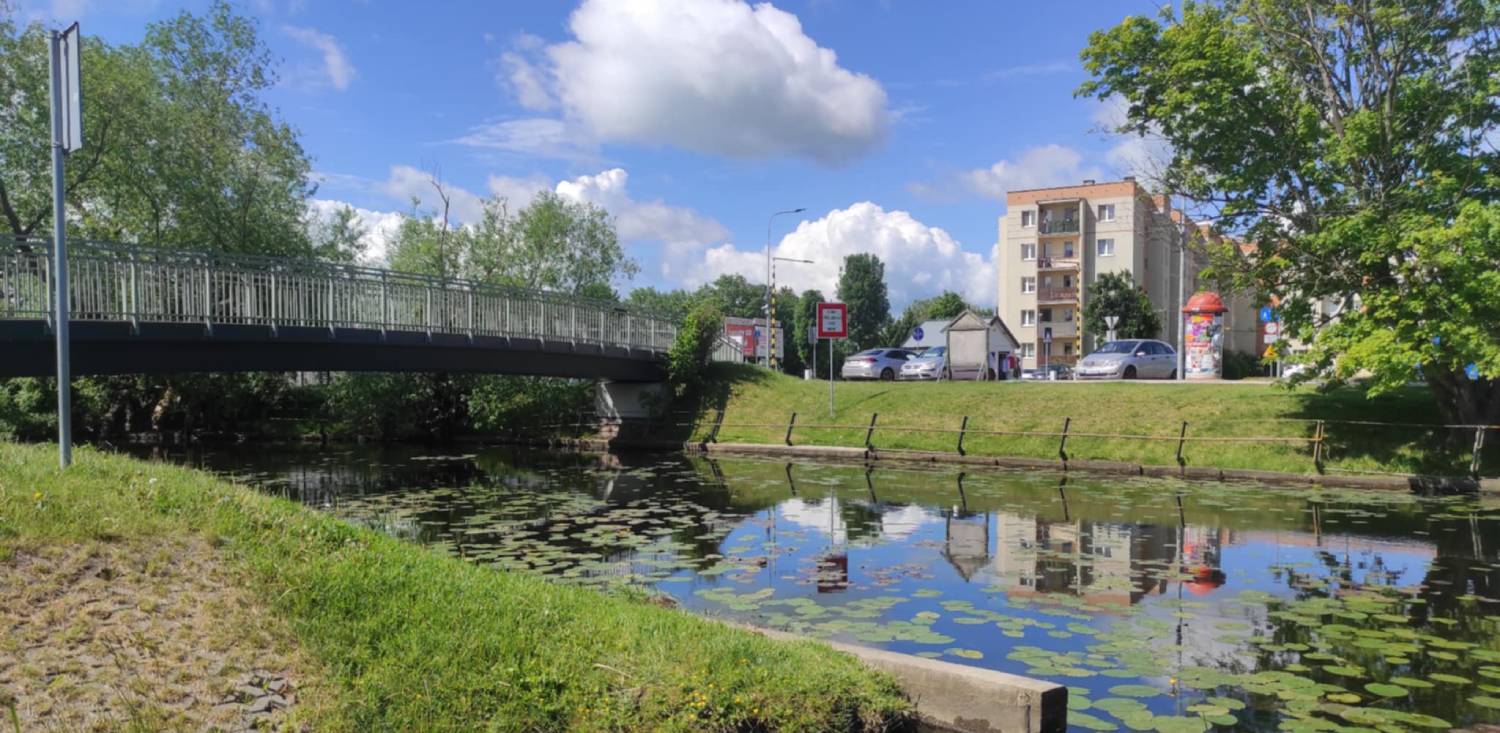 Rzeka Tuga w Nowym Dworze Gdańskim (fot. Radio Gdańsk/Mateusz Czerwiński)