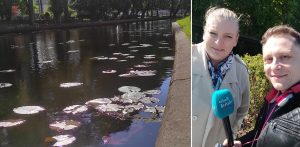 Przewodniczką po Pętli Żuławskiej była Anna Milarska ze Stowarzyszenia Żuławy (Fot. Radio Gdańsk/Mateusz Czerwiński)