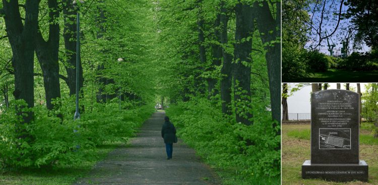 Park Steffensów w Gdańsku (Fot. WUOZ w Gdańsku/M. Tymiński)