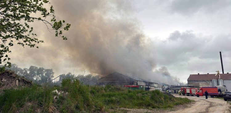 Pożar kurnika w miejscowości Objazda (fot. M. Jasłowski)