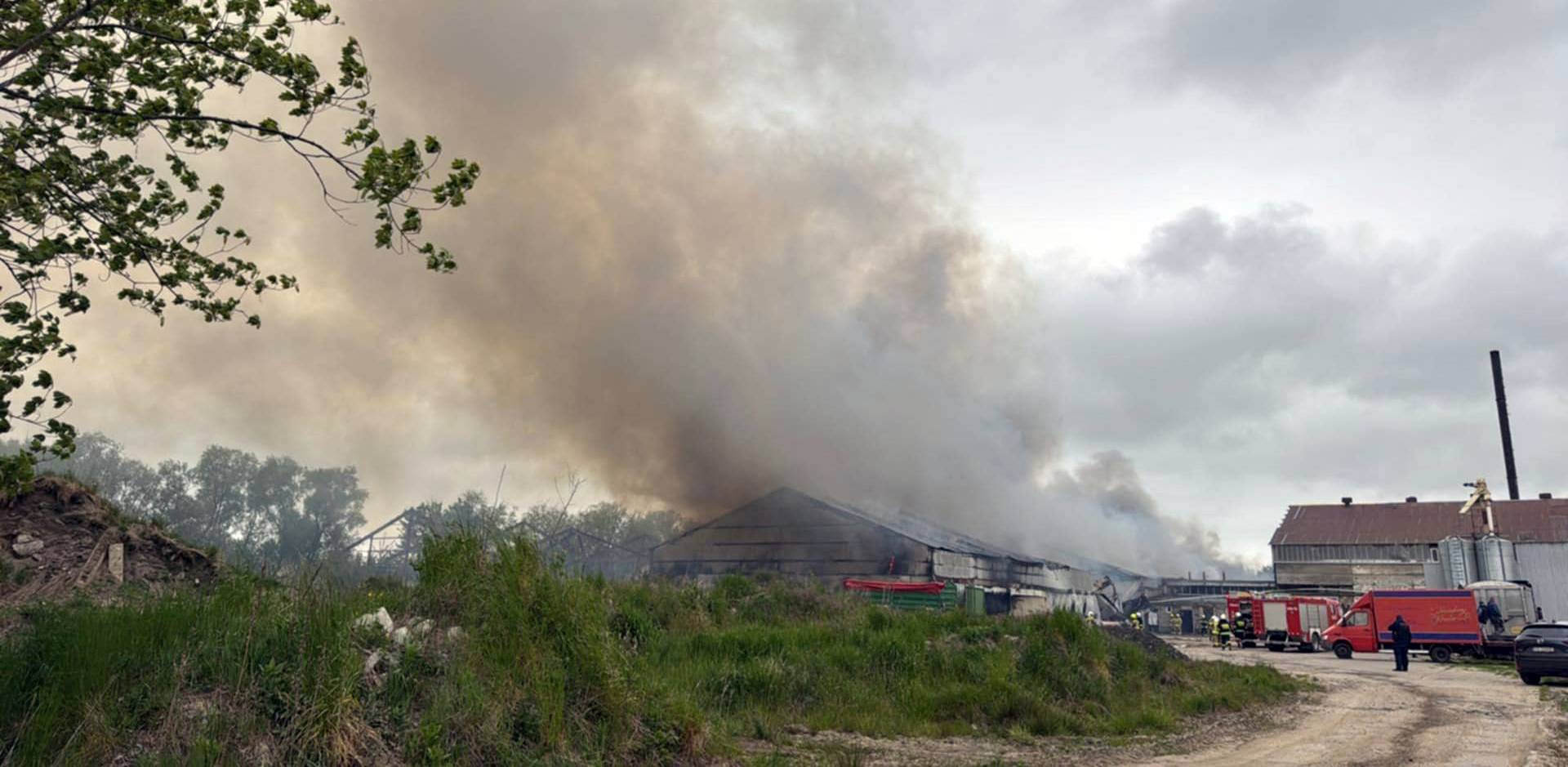 Pożar kurnika w miejscowości Objazda (fot. M. Jasłowski)