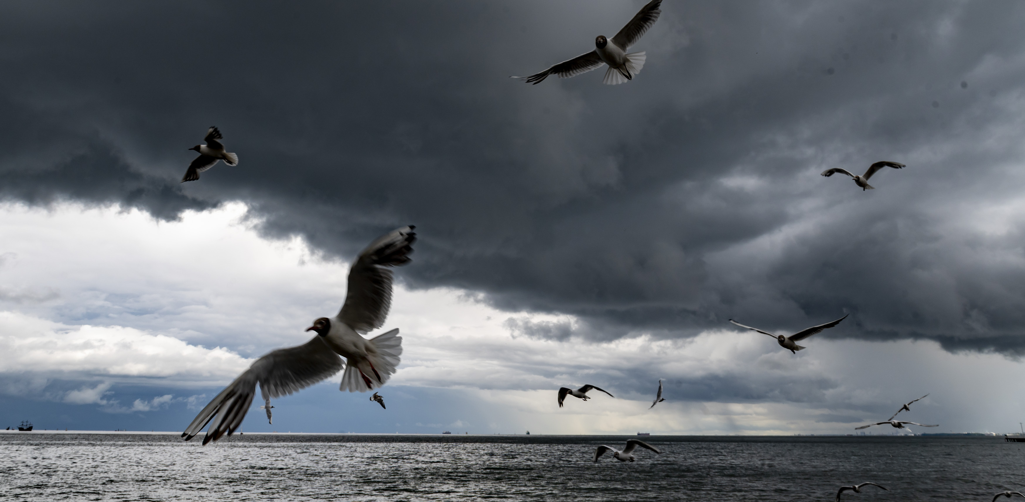 (Fot. Anna Bobrowska / KFP)