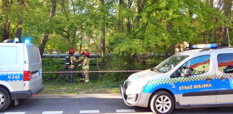 Na miejscu zdarzenia pracują m.in. policjanci i straż (fot. M. Jasłowski)