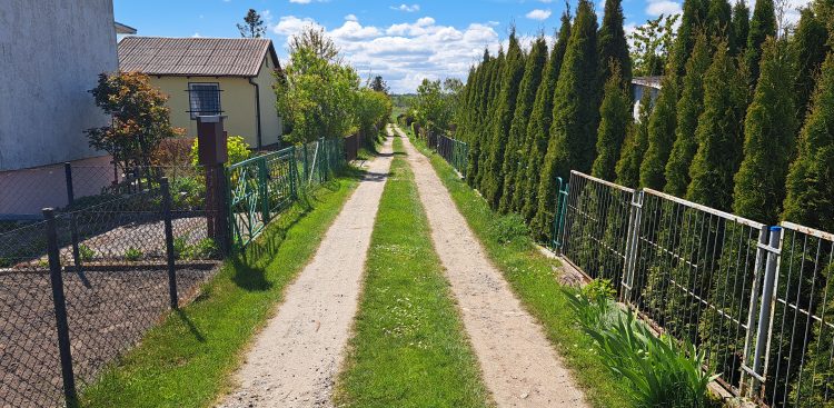 (Fot. Radio Gdańsk/Sebastian Kwiatkowski)