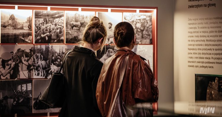 Wystawa  "Fauna. Zwierzęta na wojnie i ich ludzie" (fot. MIIWŚ/Agnieszka Stawrosiejko)