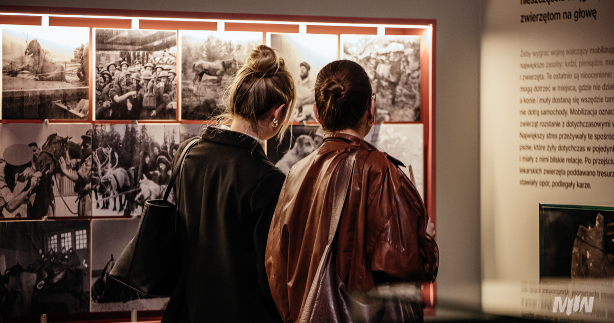 Wystawa  "Fauna. Zwierzęta na wojnie i ich ludzie" (fot. MIIWŚ/Agnieszka Stawrosiejko)