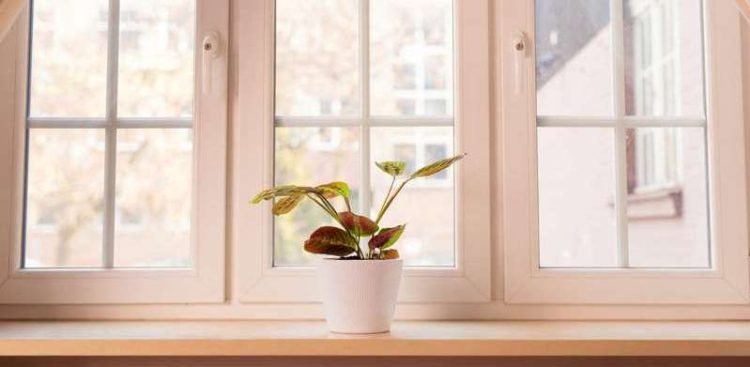 (fot. mat. sponsorowane)