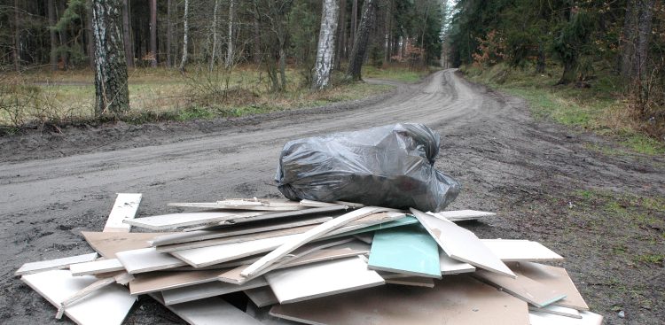 (fot. Maciej Kosycarz / KFP)