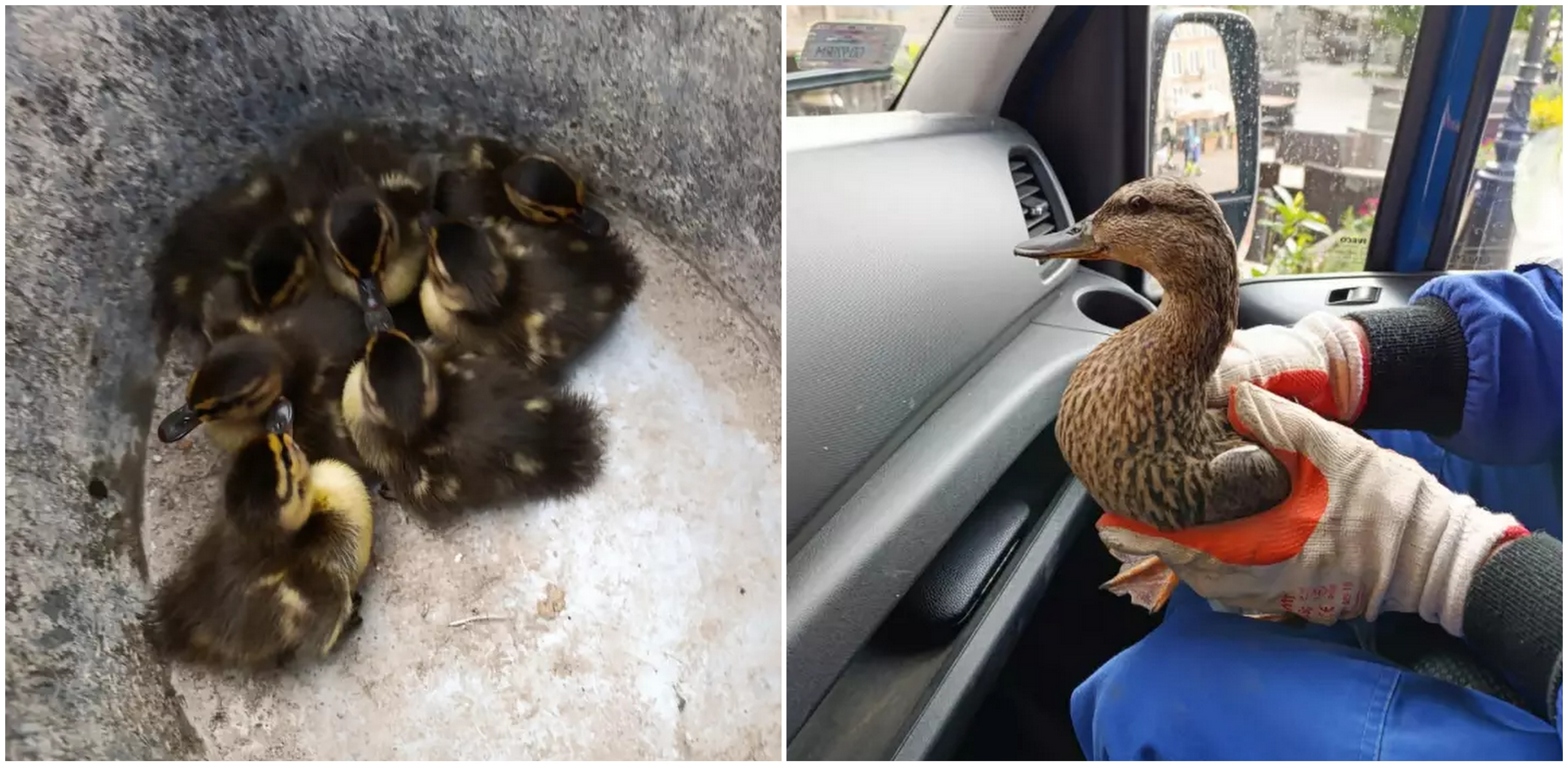 (fot. Gdańskie Wody)