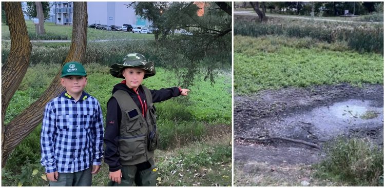 Olek i Janek uratowali 200 ryb z wysychającego stawu (fot. Radio Gdańsk/Filip Jędruch)