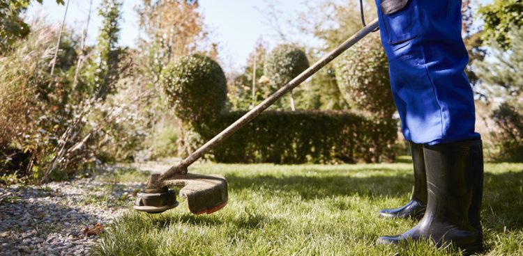 Zdjęcie ilustracyjne (fot. Freepik)