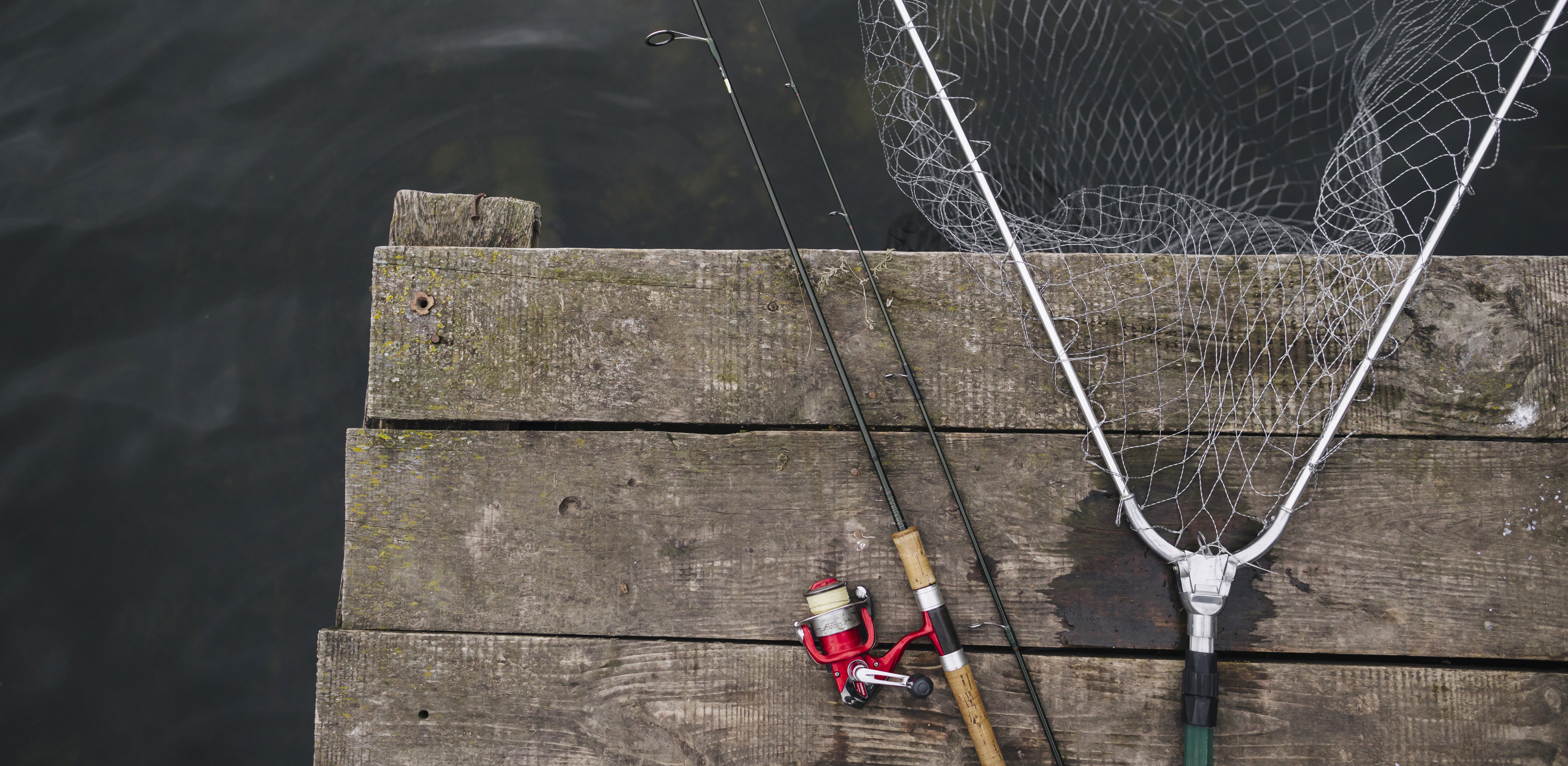 Zdjęcie ilustracyjne (fot. Freepik)