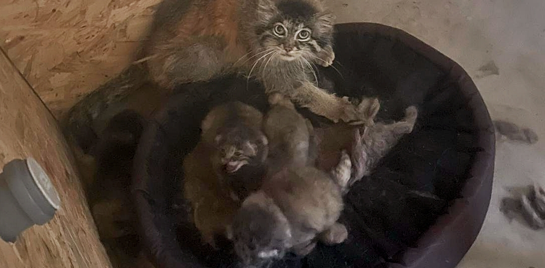 (Fot. Gdański Ogród Zoologiczny)