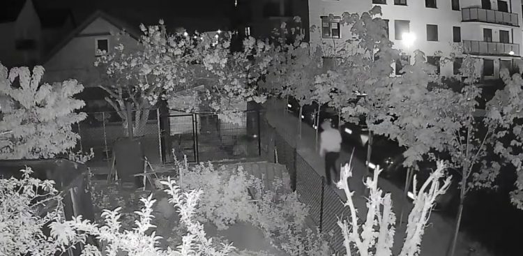 (fot. screenshoot Facebook/OTOZ Animals)