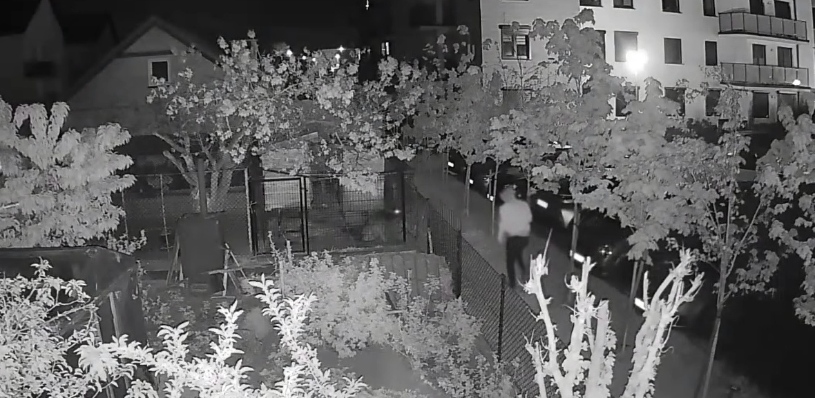 (fot. screenshoot Facebook/OTOZ Animals)