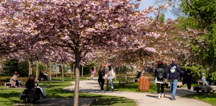 (Fot. KFP/Anna Rezulak)