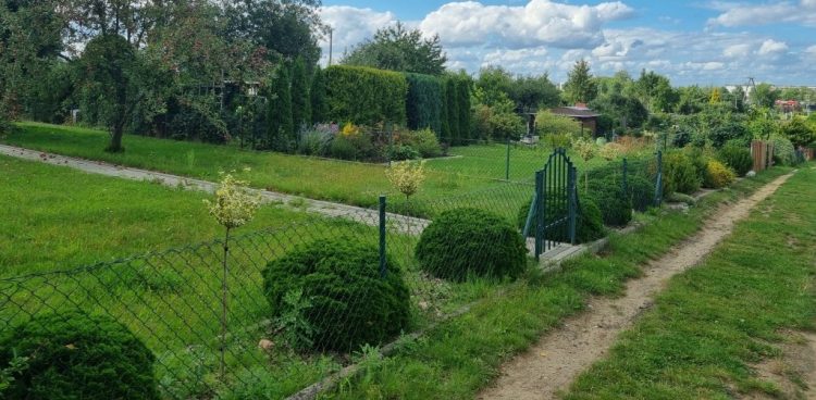 Pieniądze zostały przekazane pięciu ogrodom działkowym (Fot. UM Starogard Gdański)
