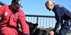 (Fot. KWP Gdańsk/asp. Karolina Krużycka