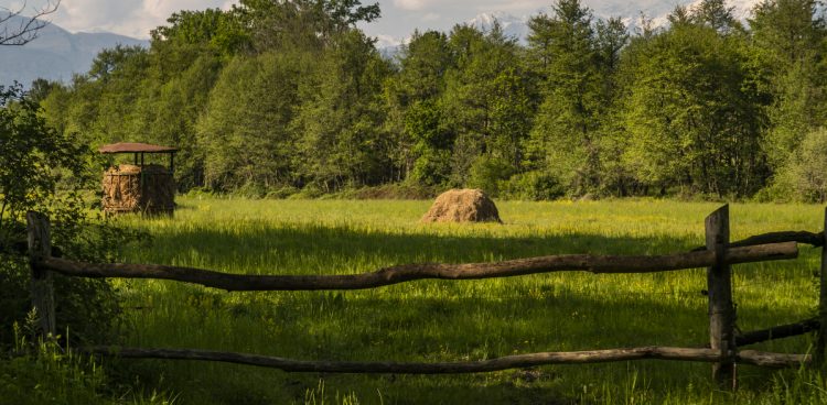 Zdjęcie ilustracyjne (fot. Freepik)
