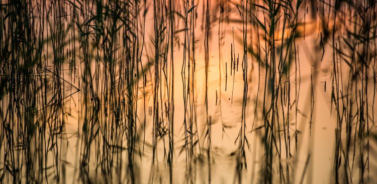 (fot. Mateusz Ochocki / KFP)