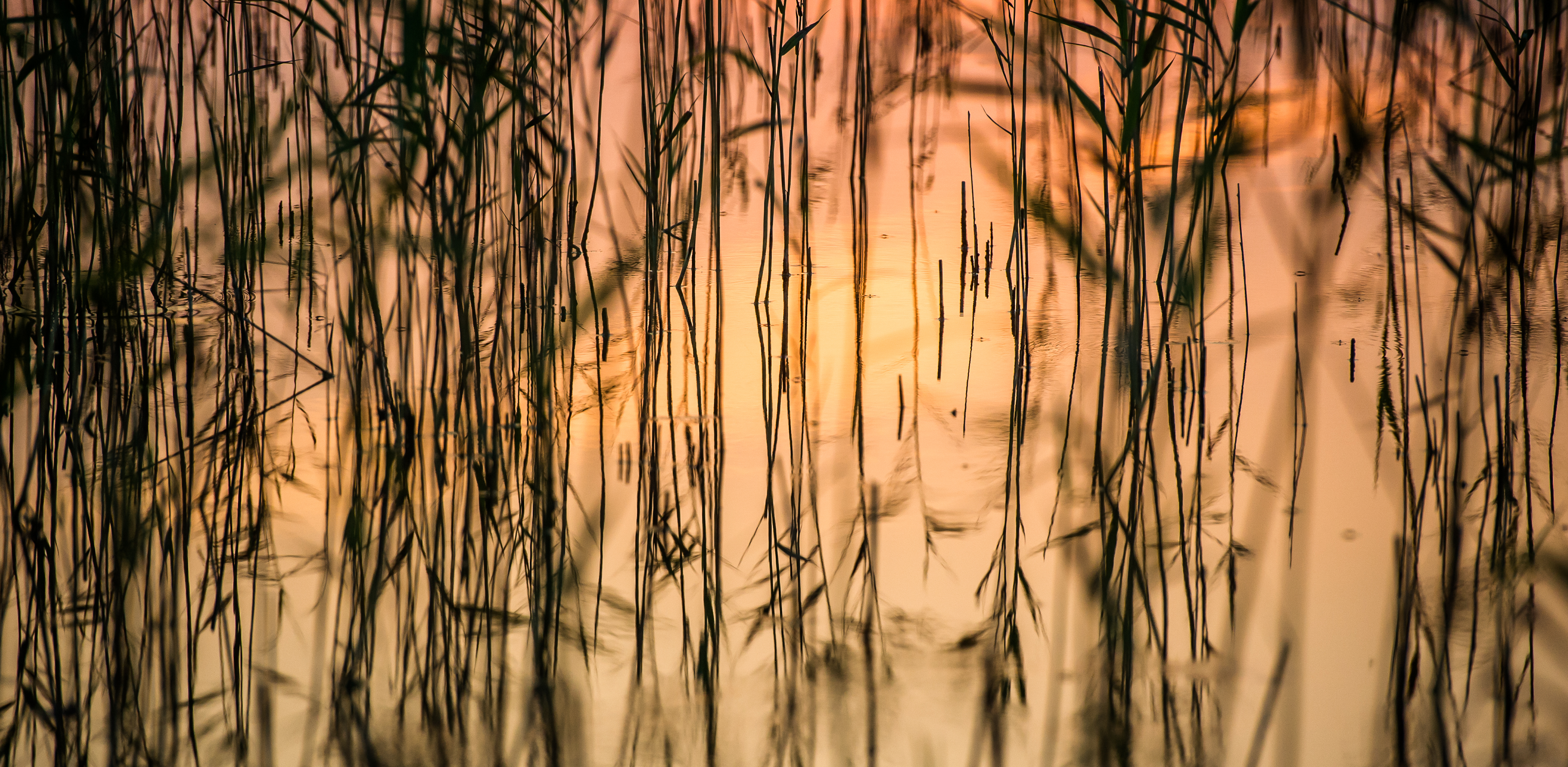 (fot. Mateusz Ochocki / KFP)