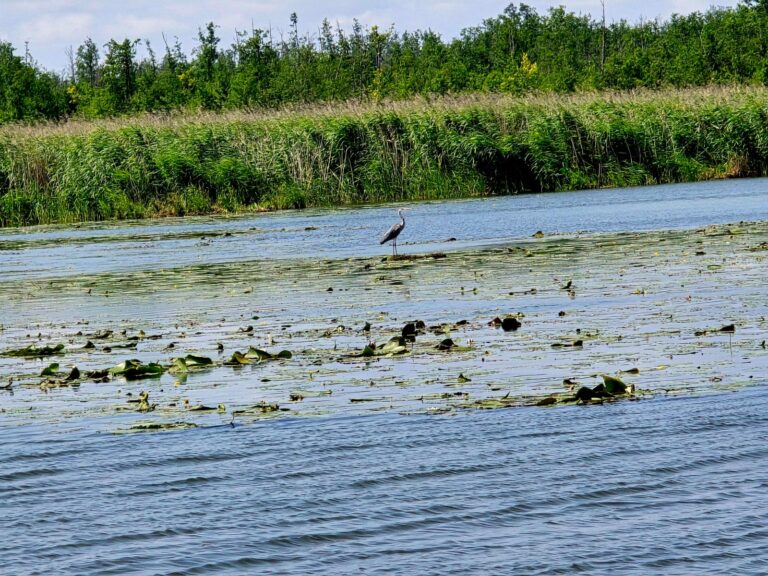 (Fot. Radio Gdańsk)