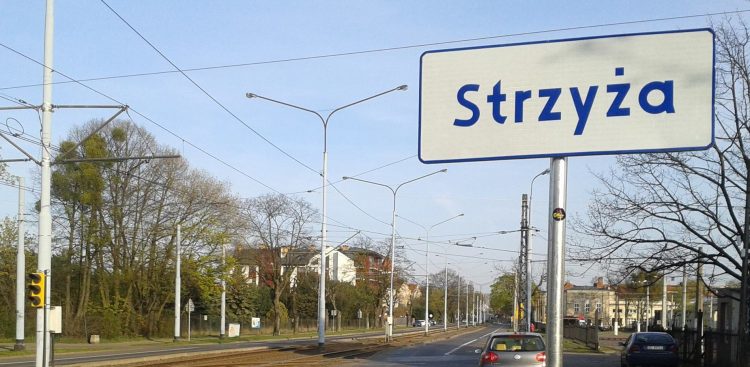 (fot. Facebook/Strzyża)