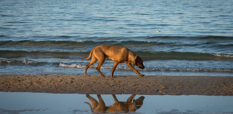 (fot. KFP/Anna Rezulak)