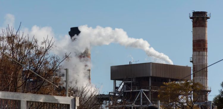 Zdjęcie ilustracyjne (fot. Freepik)