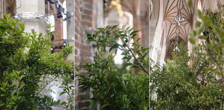 (fot. Nadbałtyckie Centrum Kultury/Marta Korga)