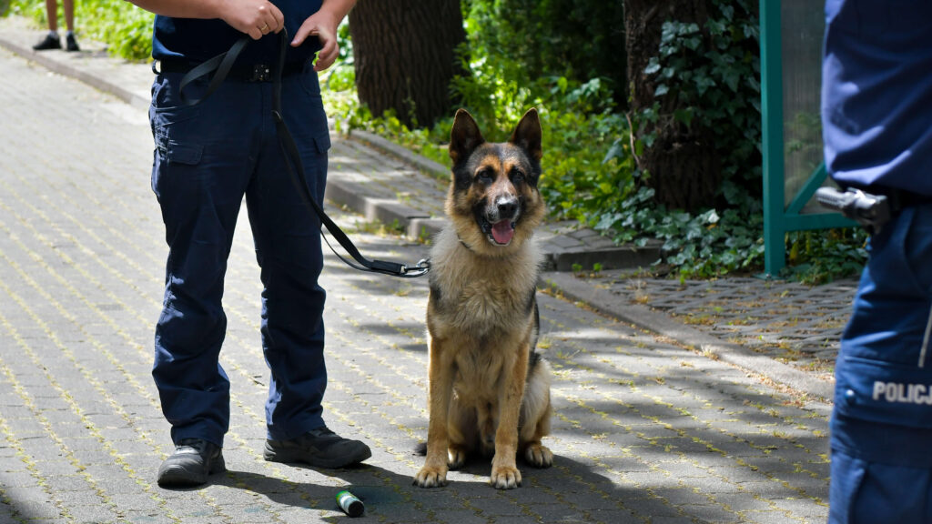(Fot. Radio Gdańsk/Pola Malańska)