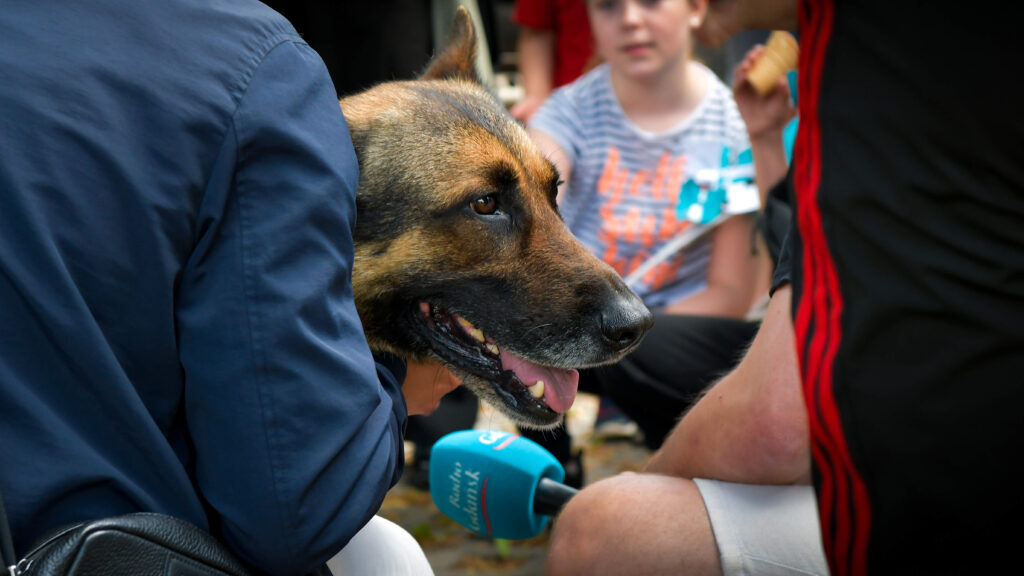(Fot. Radio Gdańsk/Pola Malańska)
